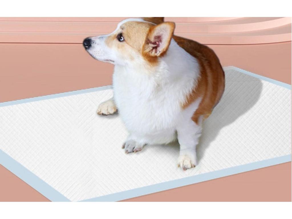 Good Fortune Super Absorbent Pet Training Pads - Deodorizing Urine Pads for Cats and Dogs