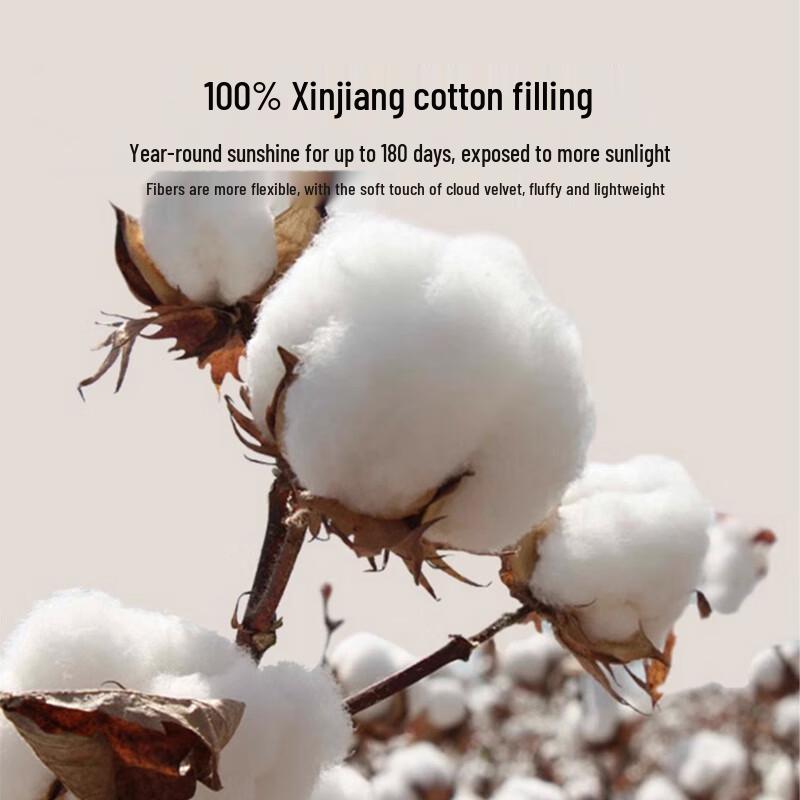 Hongdou Class A Antibacterial Xinjiang Cotton Quilt