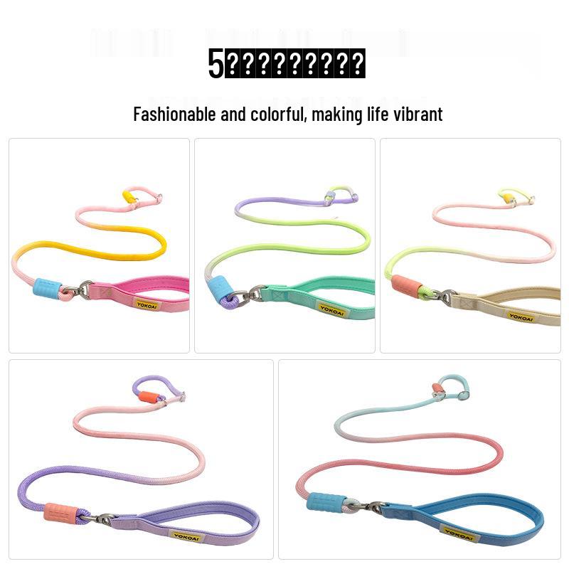 Gradient Shock-Absorbing Nylon Dog Leash for Small To Large Pets - Explosion-Proof with Integrated P Rope and P Chain.