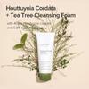 Mary&May Houttuynia Cordata + Tea Tree Cleansing Foam 150ml