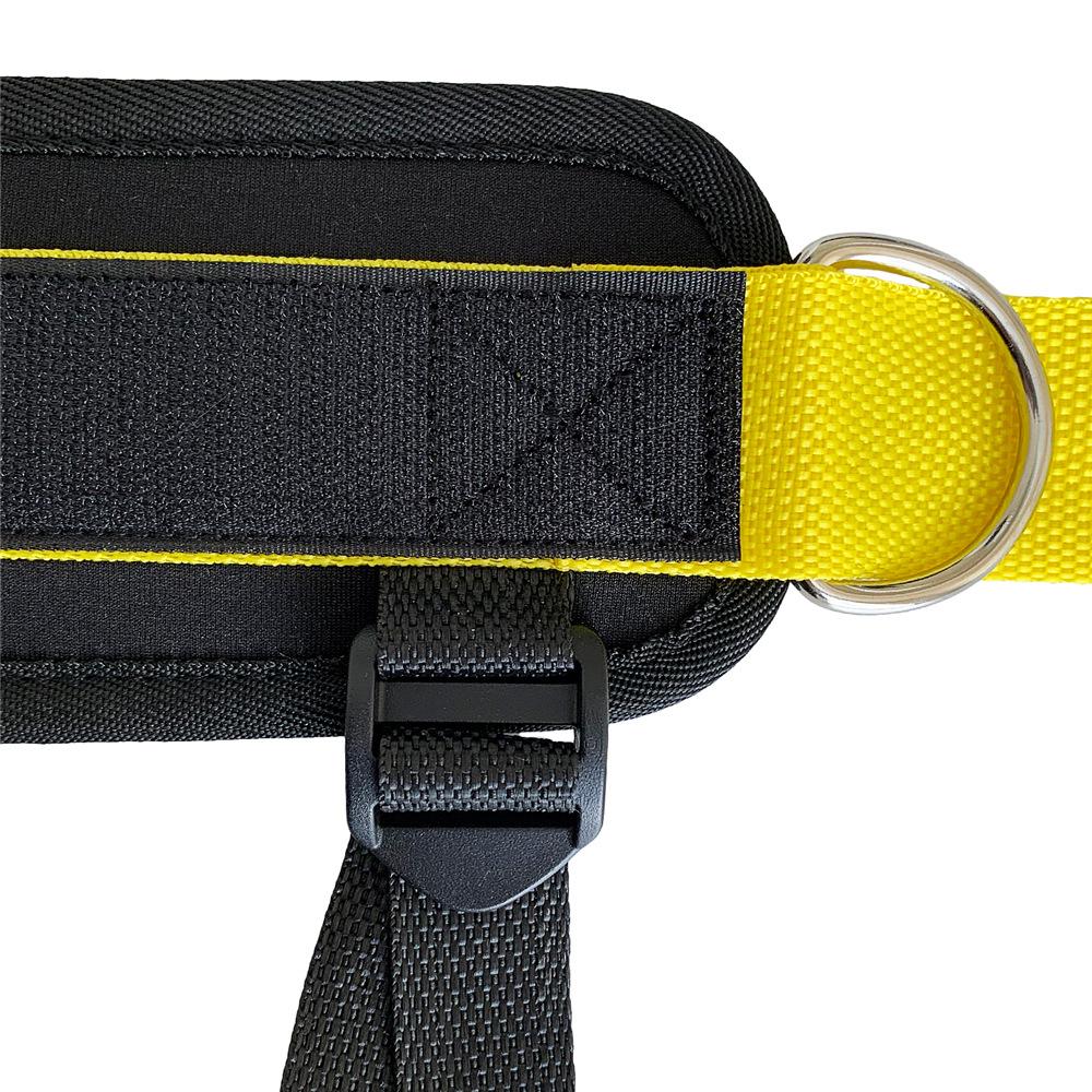 Fitness Gantry Ankle Buckle, Hip and Leg Strength Training Leg Buckle, Pedal Type Multi-directional Adjustable Ankle Buckle