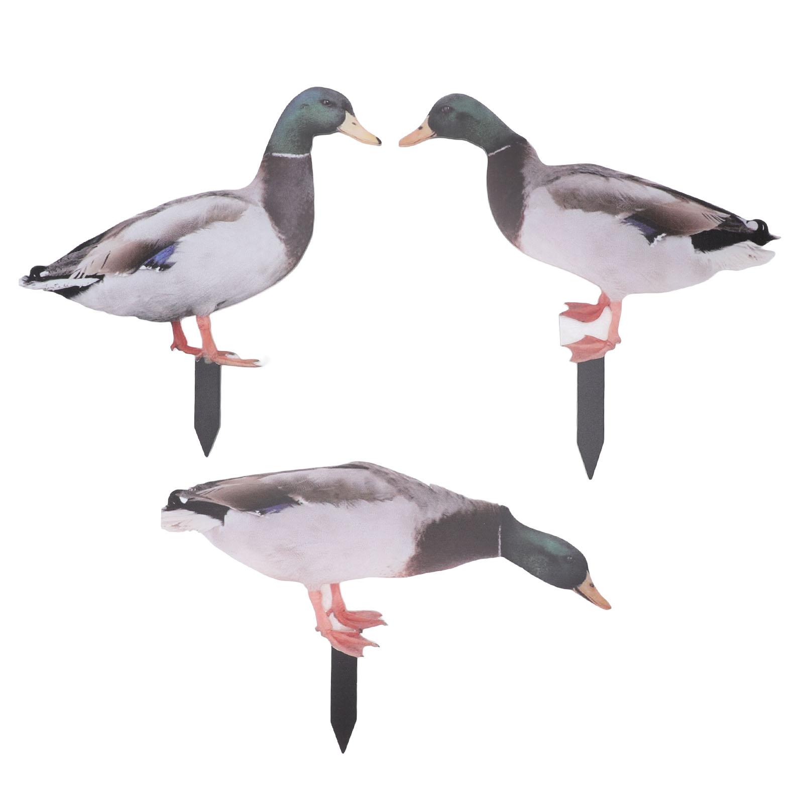 

Animal Garden Stakes Multipurpose Double Sided Innovative Waterproof Garden Decorative Statues for