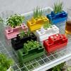 Scallion Planter Hydroponic Soil-Free Regeneration Planter Multi-Slot Scallion Regrowth Planter for Kitchen Countertop Window Sill Balcony