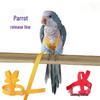 Outdoor Cockatiel Harness: Tiger Skin Flying Leash