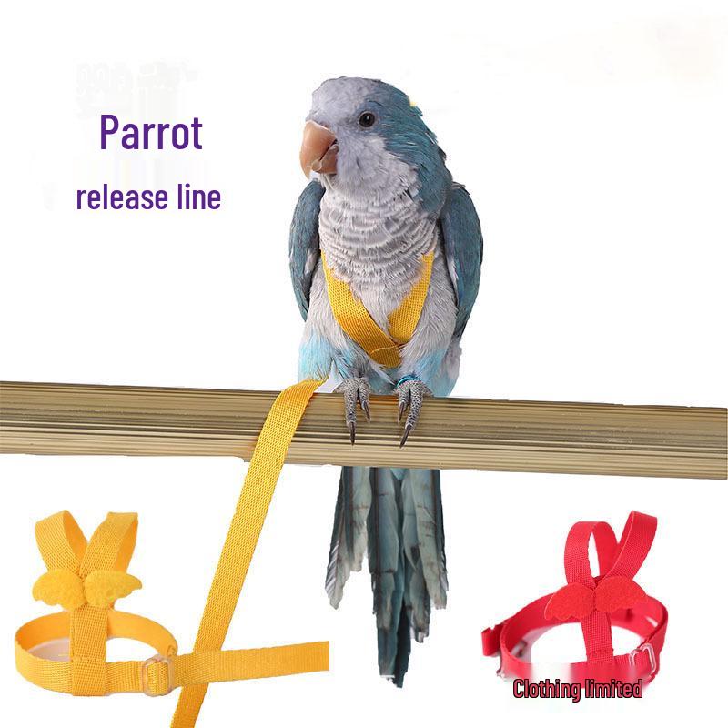 Outdoor Cockatiel Harness: Tiger Skin Flying Leash