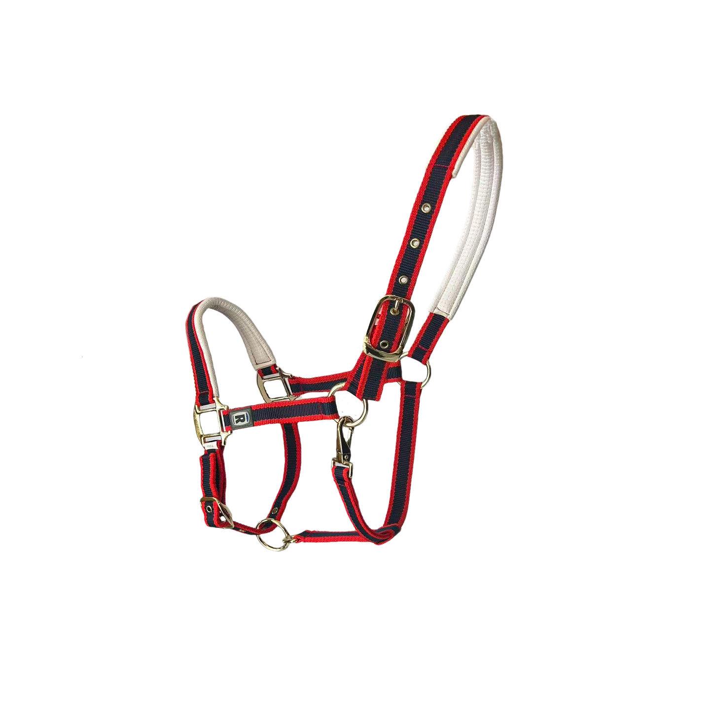 Red Nylon Equestrian Halter with Anti-Rub Bit, Training Lead Rope, and Metal Buckle Default