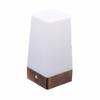 PIR Motion Sensor Light Bedside Lamp LED Desk Lamp Bedroom Night Light Battery Powered Small Table