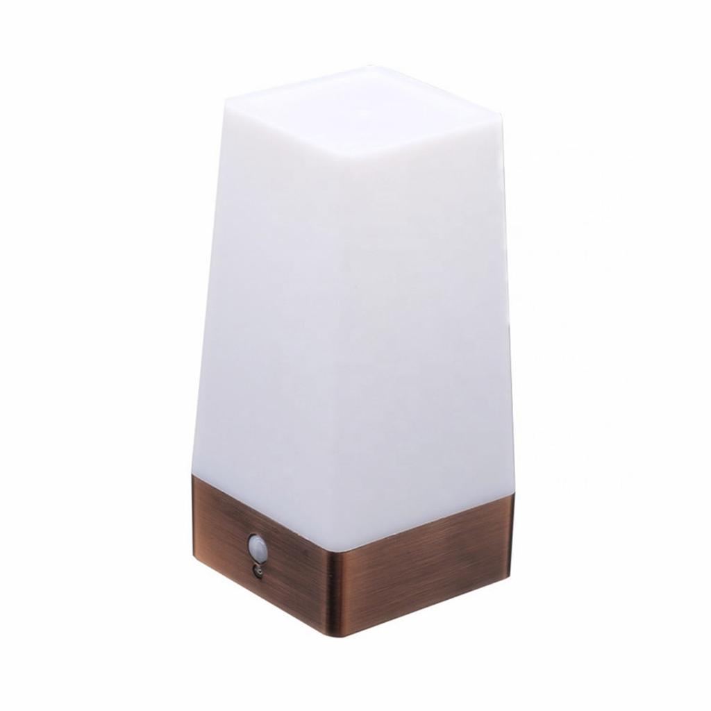 PIR Motion Sensor Light Bedside Lamp LED Desk Lamp Bedroom Night Light Battery Powered Small Table