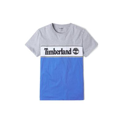 T-shirt à Manches Courtes et Col Rond avec Imprimé Lettres Color Block pour Homme Hauts Gris A1OA4-052