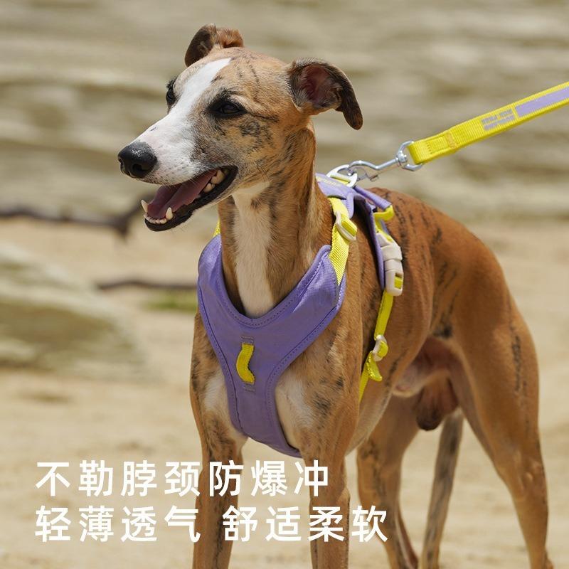 Dog Chest and Back Traction Rope Small Medium and Large Dog Walking Dog I-shaped Special Pet Chain That Does Not Restrain the