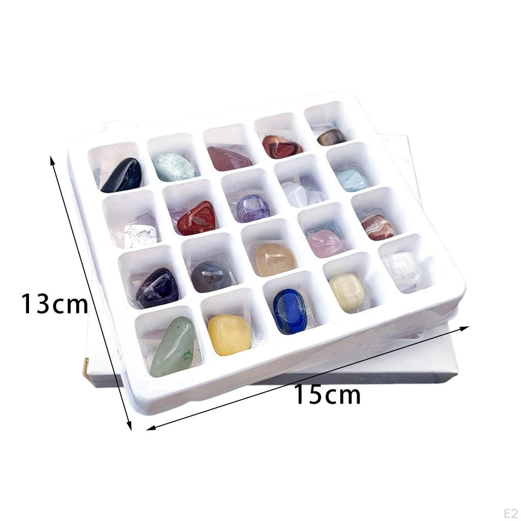 20 Pieces Rocks Collection Box Teaching Aids Ore for Children Birthday Present
