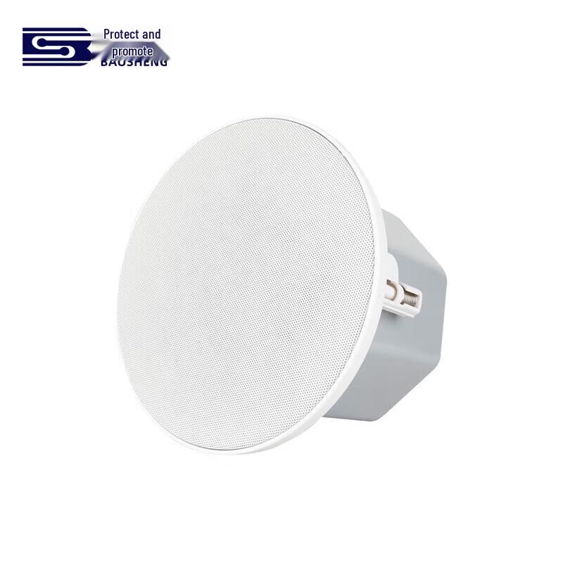 Baosheng Embedded Ceiling Speaker (CN Version)