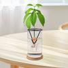 4 Pcs Avocado Seed Starter Rack Triangular Metal Bracket Avocado Growing Triangular Holder for Mason Jar of Wide-Mouth