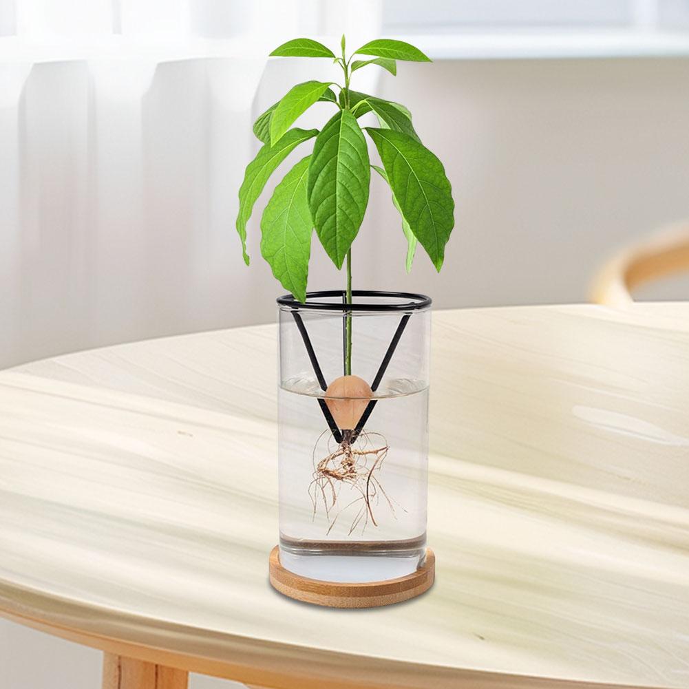 4 Pcs Avocado Seed Starter Rack Triangular Metal Bracket Avocado Growing Triangular Holder for Mason Jar of Wide-Mouth