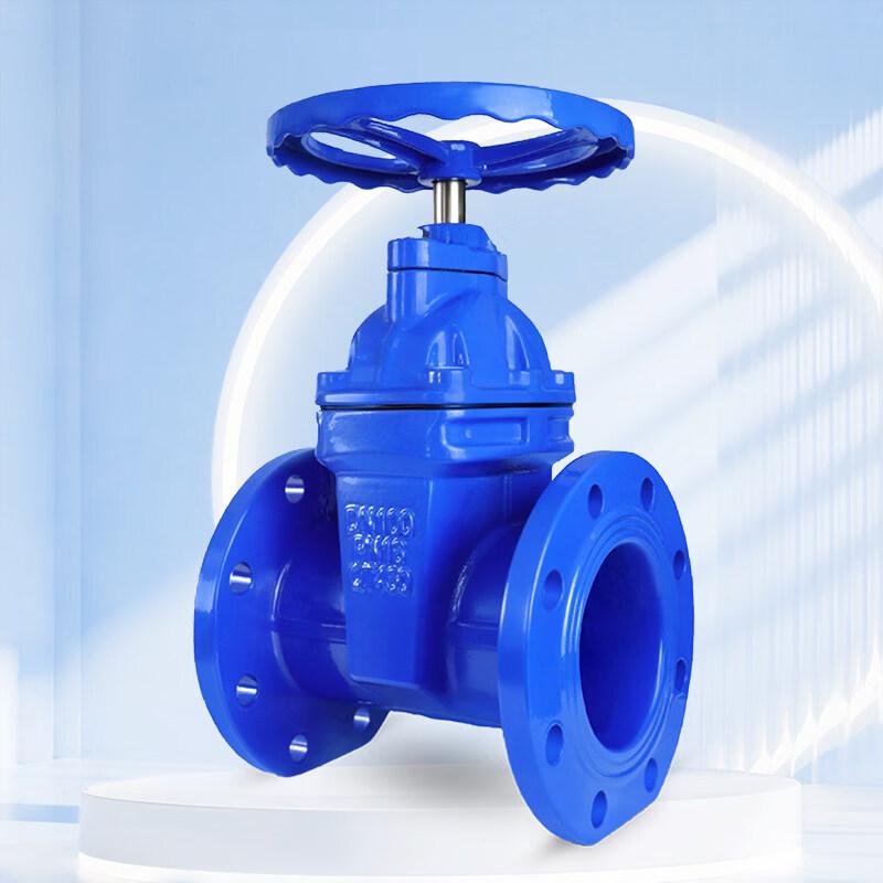 DN125 Flanged Soft Seal Open Stem Gate Valve