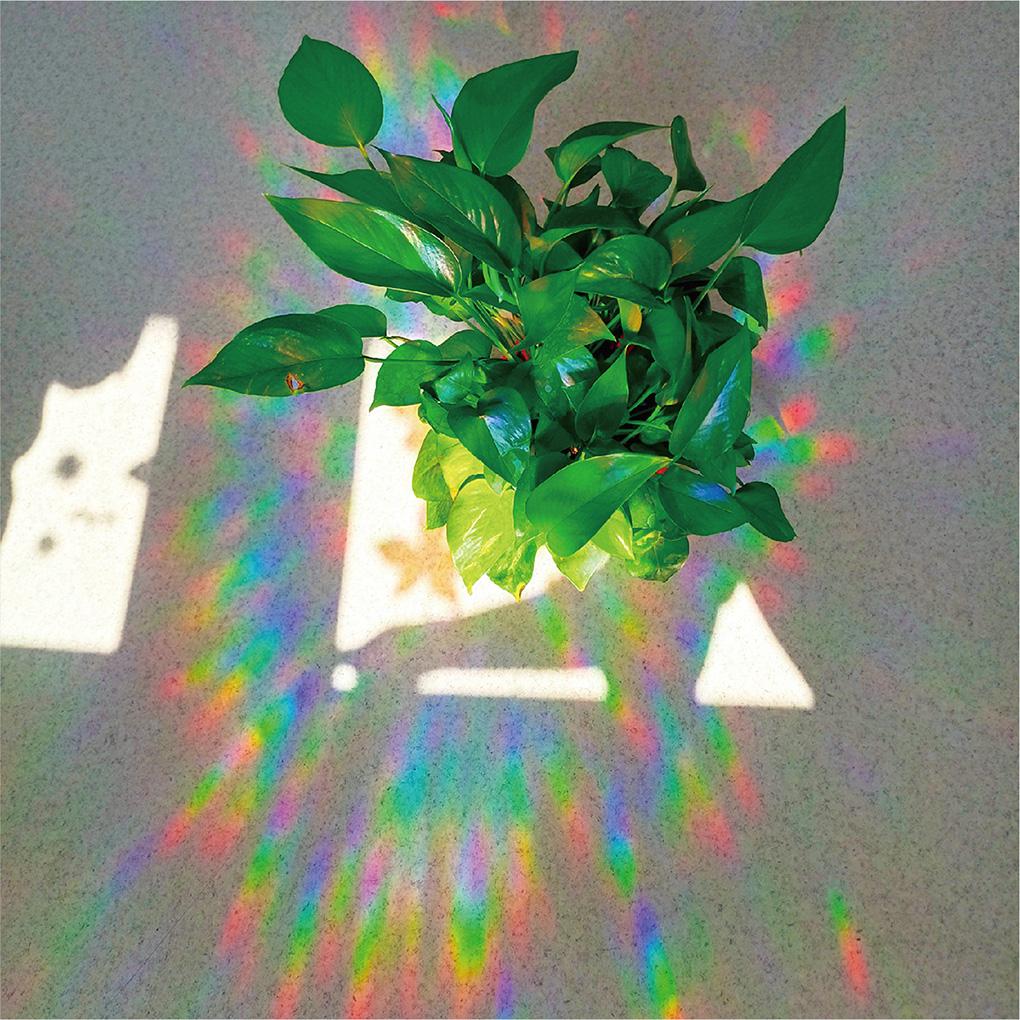 Pack of 3 Window Film Stained Leaf Reusable Rainbow Glass Cling Removable Decoration Stickers Indoor Decals Office Decor