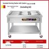 Stainless Steel Mobile Food Warming Table with Casters - Insulated Hot Dish Serving Cart