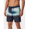 Шорты Quiksilver Everyday 16