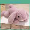 Adorable Rabbit Plush Toy For Girls Birthday Gift And Office Stress Relief