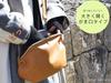 everette Shoulder Clasp or Shoulder Stylish and Simple Dot 318YZZ 318YZZ-MUS Women's Bag, Crossbody, 2-Way, Closure, Clutch, Bag, Design, (Mustard)