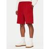 Tommy Hilfiger Sport Shorts UM0UM03914