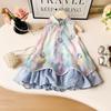Girls' Summer Sleeveless Princess Dress with 3D Flowers, Style CM1265