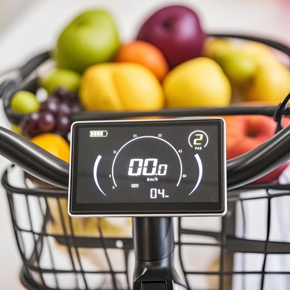 Elektrofahrräder Lamiter 20" 750W 48V 20.8AH Erwachsenen E-Bike Höchstgeschwindigkeit 45Km/h Maximale Reichweite 120Km Zuladung 300Kg K750