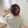 Women's Daily Painting Transparent Hair Clip