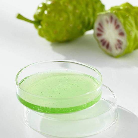 CELIMAX The Real Noni Energy Ampoule 50ml