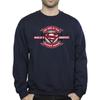 DC Comics Mens Superman Super Hero Sweatshirt