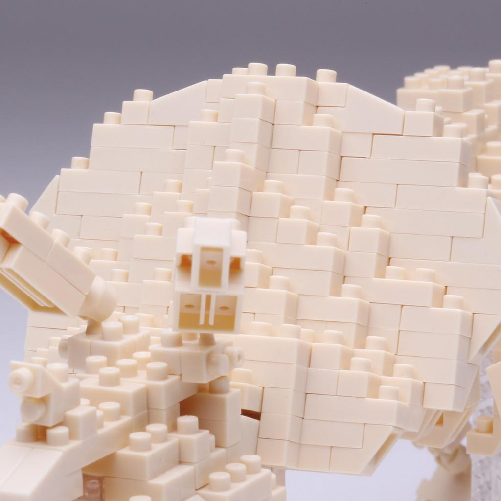 Kawada Nanoblock Triceratops Skeleton Model NBM-017