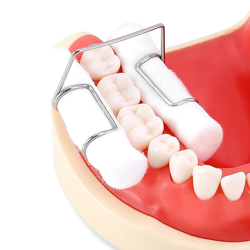 4Pcs/Box Dental Stainless Steel Dental Cotton Roll Holder Clip Dental Fixed Clamp Fit Instruments Tool Lab Supplier