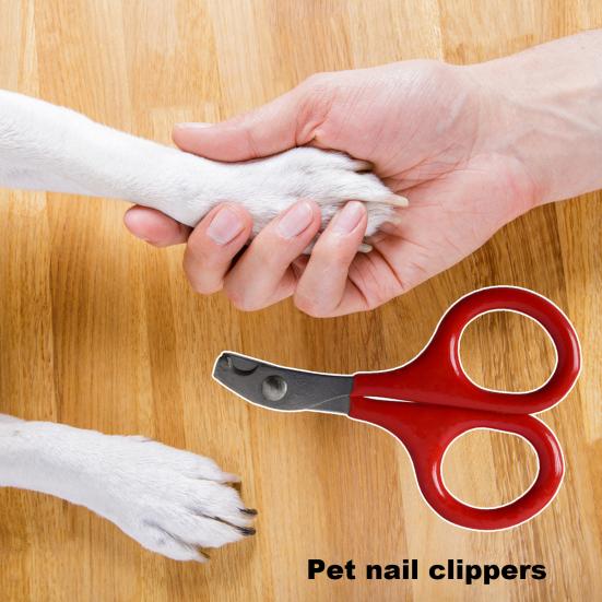 Haustier-Nagelknipser, robust, scharf, Hunde-Nagelschere, einfach zu bedienender professioneller Katzen-Nagelschneider, Haustierpflegezubehör