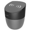 Wireless Bluetooth Speaker and Qi Wireless Charger and Docking Station A1