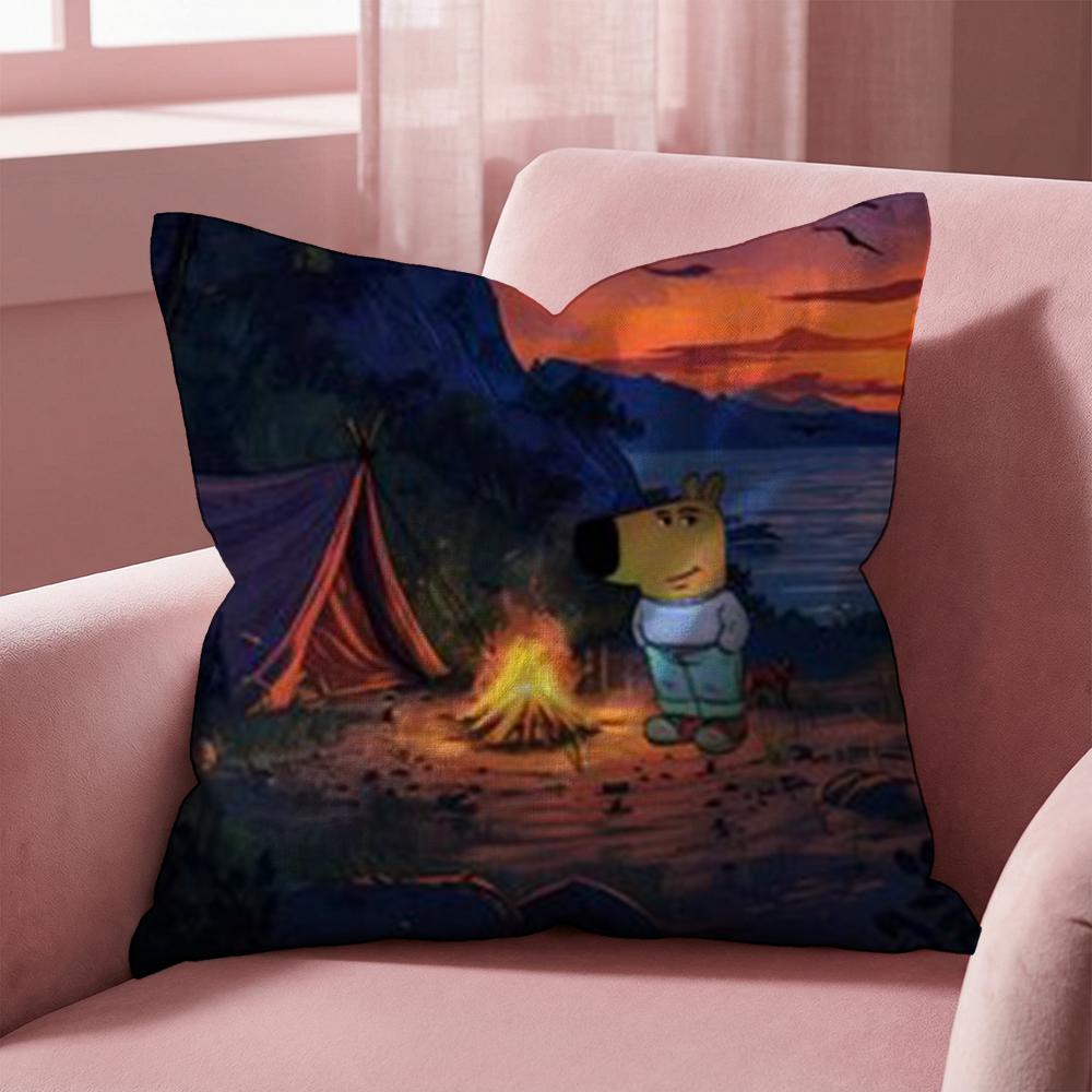 Cute chill guy Cushion Cover Multi-Scene Pillow Cover for Home & Car - Reversible, Soft & Durable for Daily Use