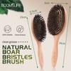 Boar Bristle Hair Brush Women Combs for Hair Wood HairBrush Detangle Straightener Brush Hair Comb Barber Accessories