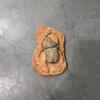 1 Stück Kinderspielzeug Simuliertes Harz Fossil Ornament Kriechendes Terrarium Dekorationen Dekorativer Behälter Landschaft Reptil