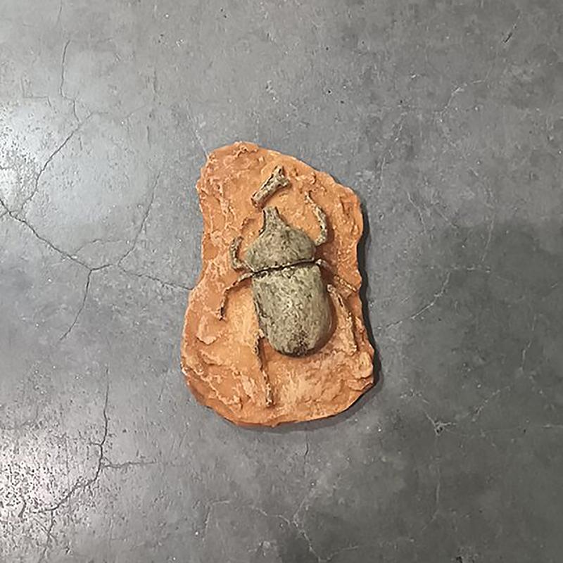 1 Stück Kinderspielzeug Simuliertes Harz Fossil Ornament Kriechendes Terrarium Dekorationen Dekorativer Behälter Landschaft Reptil