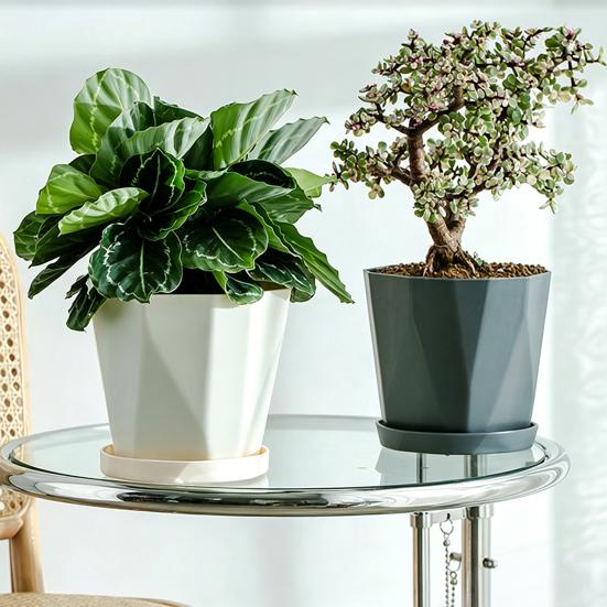 Plant Pot with Drainage Holes Decorative Planter with Matching Saucer Modern Flower Pot for Indoor Outdoor Use Pothos Aloe