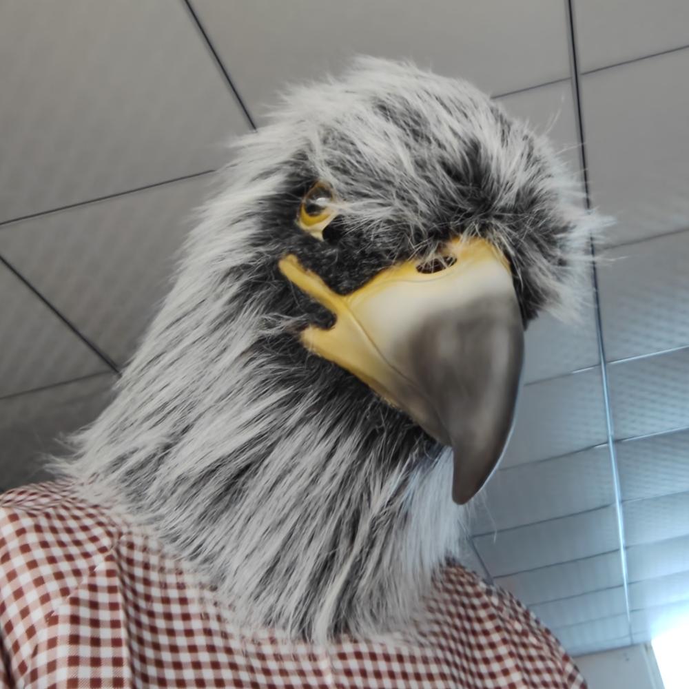 Nová maska Hawk Eagle Bird Pokrývka Halloween Kostým Party Cosplay Rekvizity Orlí masky Party Karneval Festival Oblékání Prop
