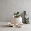 3D Printed Yoga Face Planter White Succulent Pot, Home And Office Desktop Decor Ideal Gift for Plant Lovers