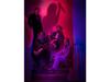 [UHQCD] IN TIMES NEW ROMAN… Japan Edition QUEENS OF THE STONE AGE OLE1947CDJP