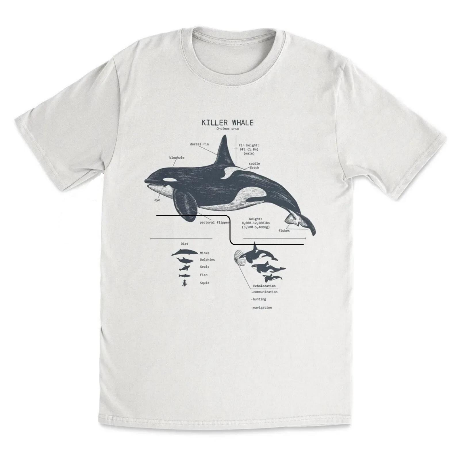 Killer Whale Anatomy T shirt, Dolphin Shirt, Marine Shirt Marine Biologist Gifts S