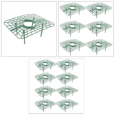 1/6/8Pcs Strawberry Growing Racks Support Stand Protector Strawberry Growing
