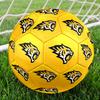 1PC Tiger Spirit Logo Soccer Ball Size 5 Football Machine Sewn Indoor/Outdoor Universal Football N2