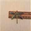Vintage Geometry Colorful Metal Dragonfly Earrings Simple Hook Animal Dangle Earrings for Women Girl Zircon Accessories aretes