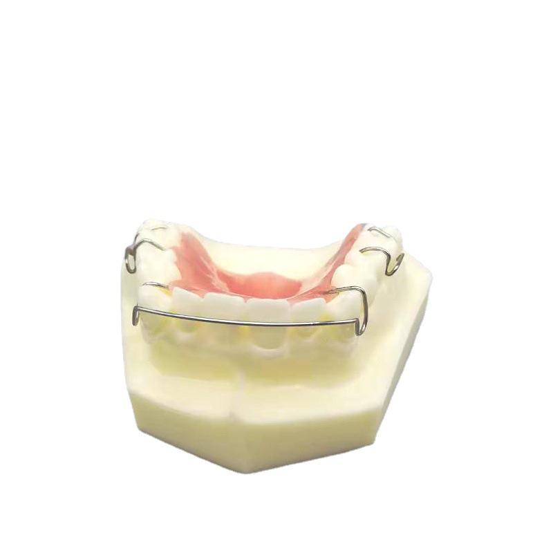 Maxillary Partial Denture Demonstration Model - White Tooth for Doctor-Patient Communication (Free Shipping)