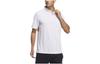 Polo Shirts Men's White Polo Collar Moderate Straight Fit GN0810