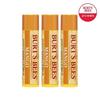 Burt's Bees Mango Lip Balm X3