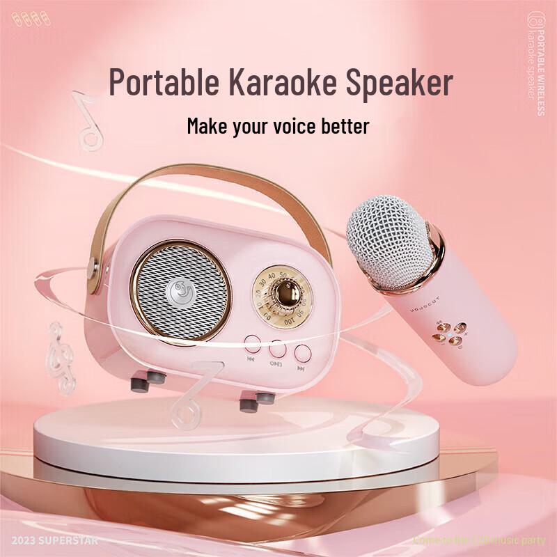 Wanwu C20 PLUS Retro Wireless Karaoke Bluetooth Speaker